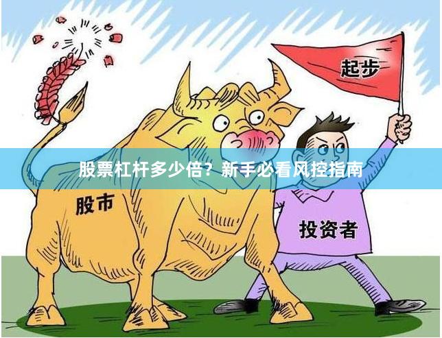 股票杠杆多少倍？新手必看风控指南